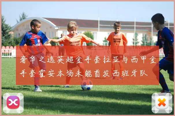 奢华之选英超金手套拉亚与西甲金手套霍安本场未能首发西班牙队